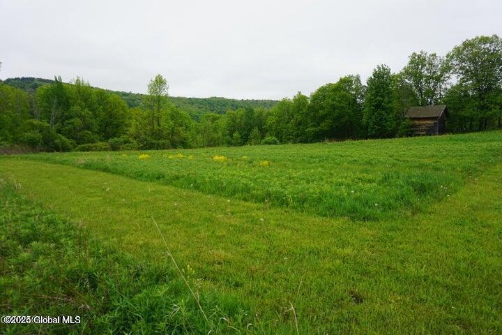 L26 West Fulton Road Warnerville, NY 12187 - Photo 12 of 15 W Fulton pic 8