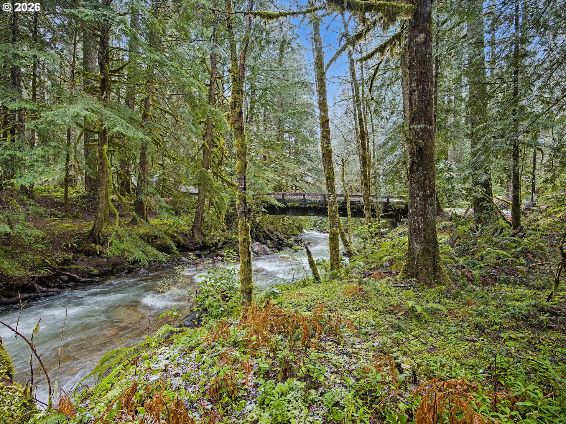 78200 Road 35 A Rhododendron, OR 97049 - Photo 2 of 48