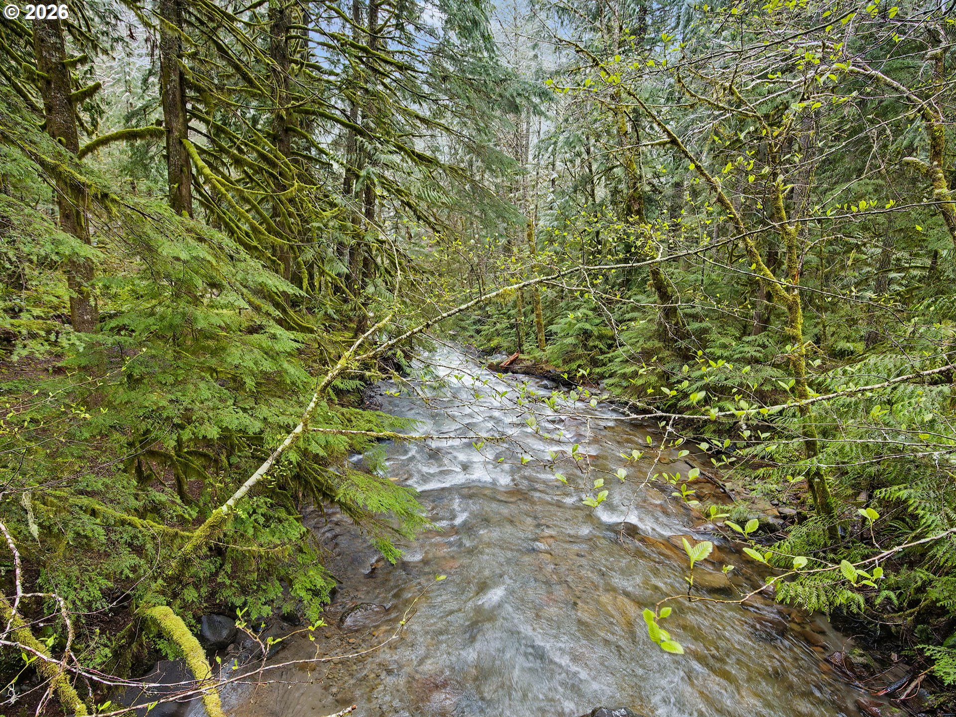 78200 Road 35 A Rhododendron, OR 97049 - Photo 40 of 48