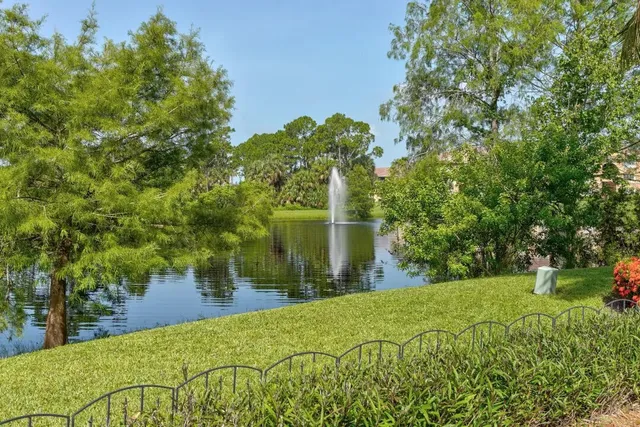 a view of a yard with plants and large trees