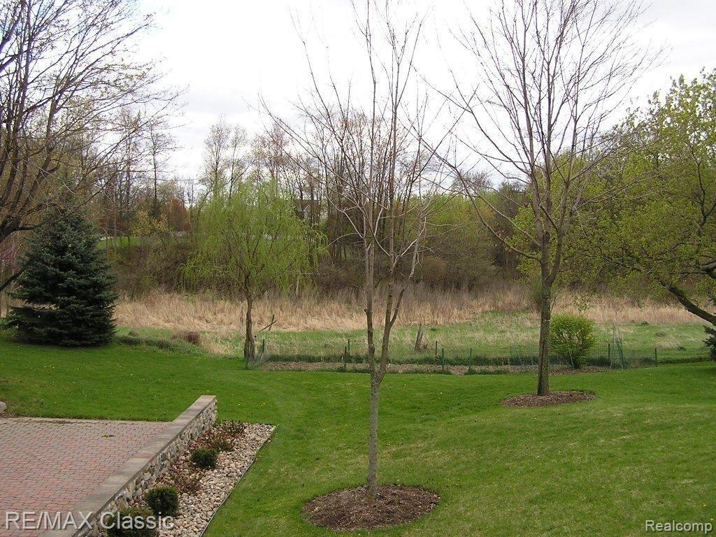 9440 Parshallville Road Fenton, MI 48430 - Photo 5 of 22 REAR PROPERTY