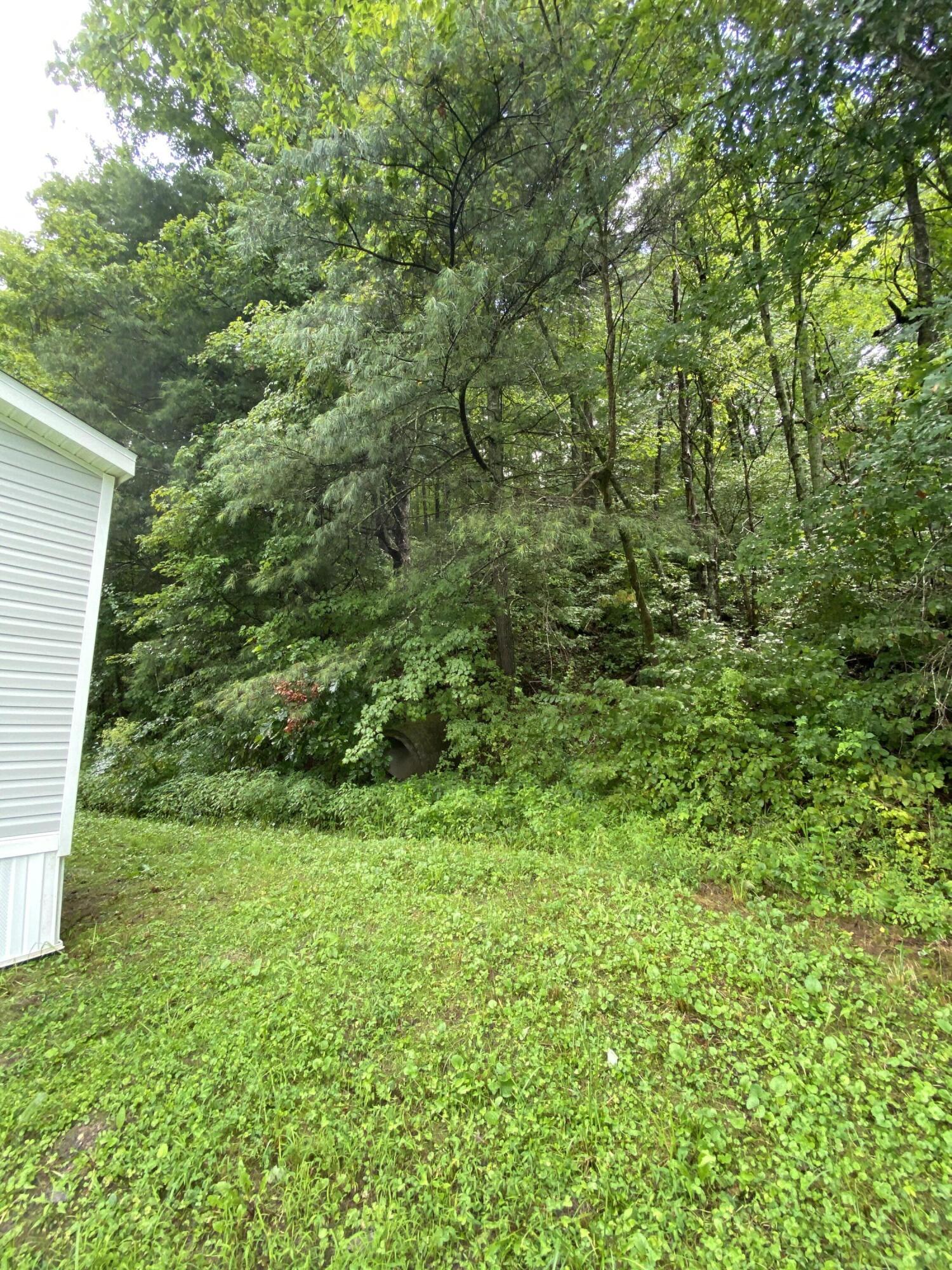 1135 Highway 15 Campton, KY 41301 - Photo 6 of 31 IMG_5915