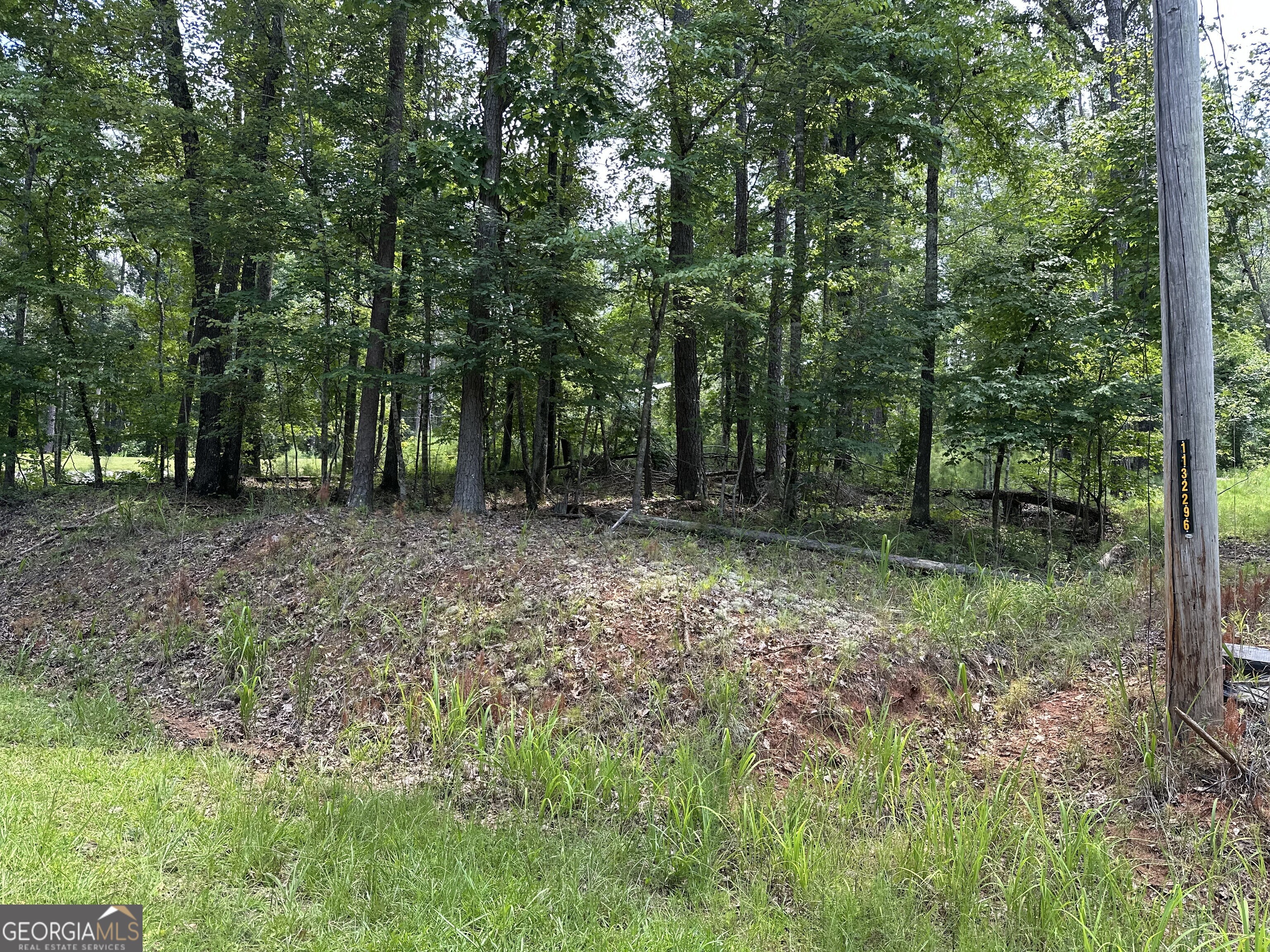 0 Gardenia Road, Unit LOT 269 Sparta, GA 31087 - Photo 1 of 1 Gallery Image 1