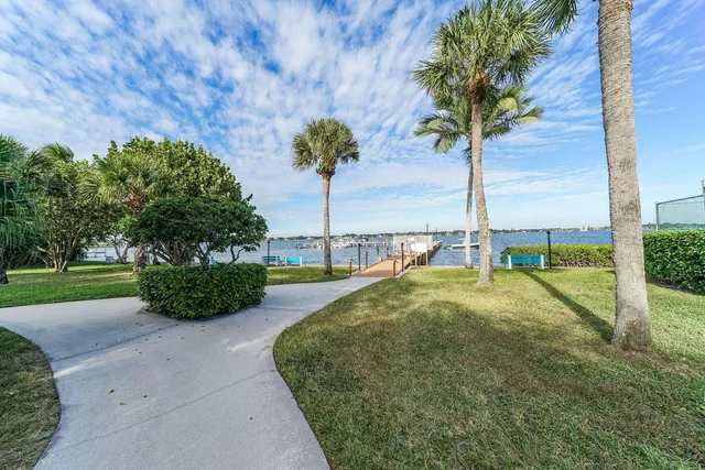 a view of a backyard with large trees