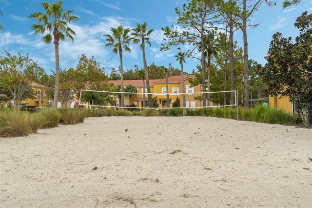 a outdoor space with lots of palm trees