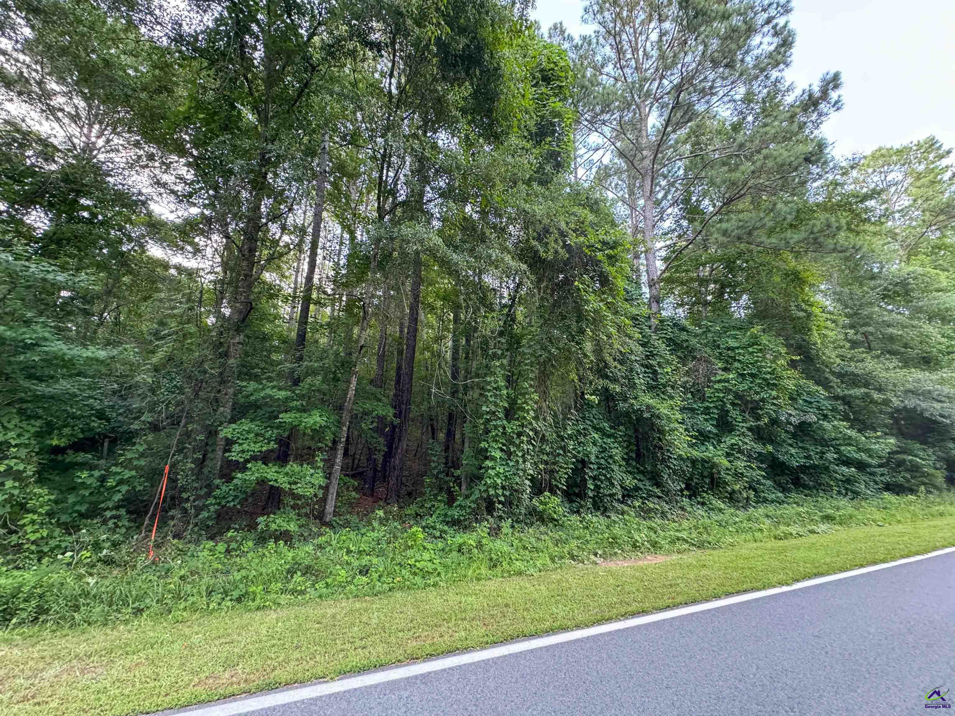 12.6-acres Hicks Road Roberta, GA 31078 - Photo 5 of 17