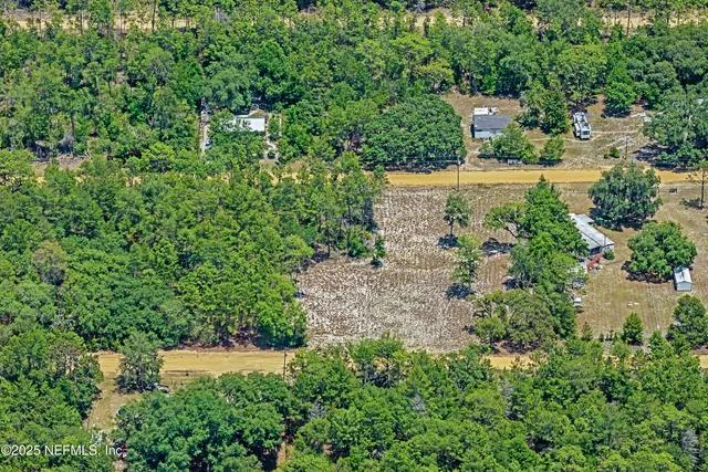 a view of a yard with plants and large trees