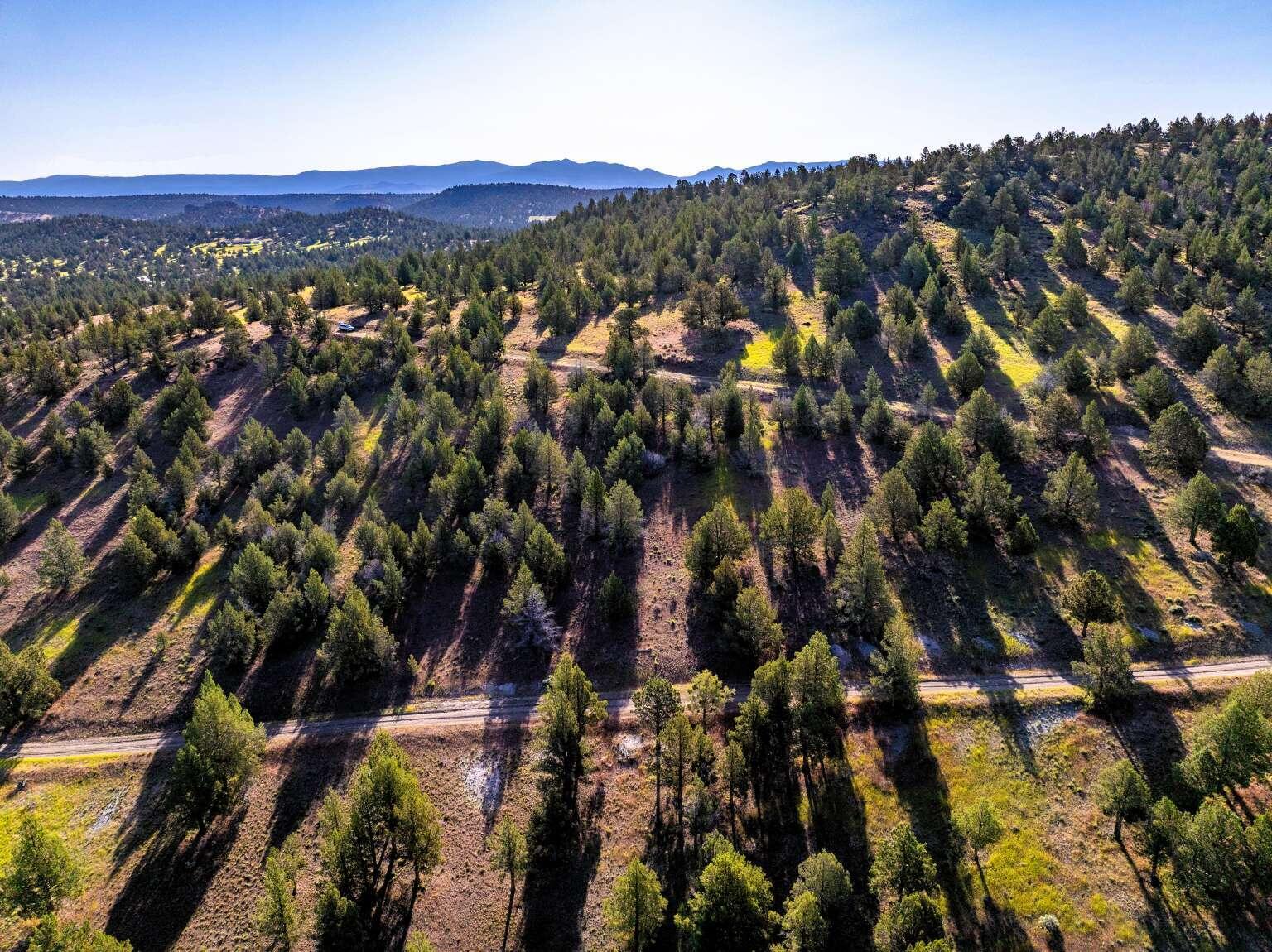 737 Raccoon Lane Alturas, CA 96101 - Photo 14 of 16 Dingman.14