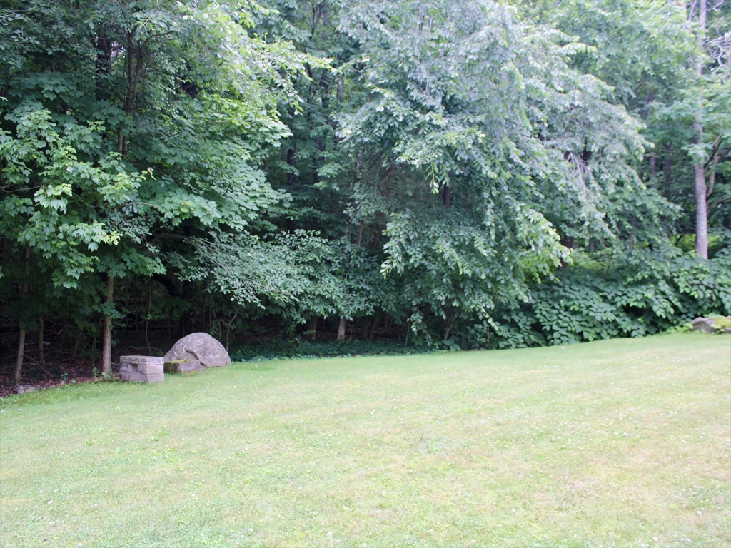 159 Mower Street Worcester, MA 01602 - Photo 25 of 27 a backyard of a house with plants and large trees