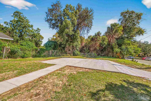 a view of a yard with plants and trees