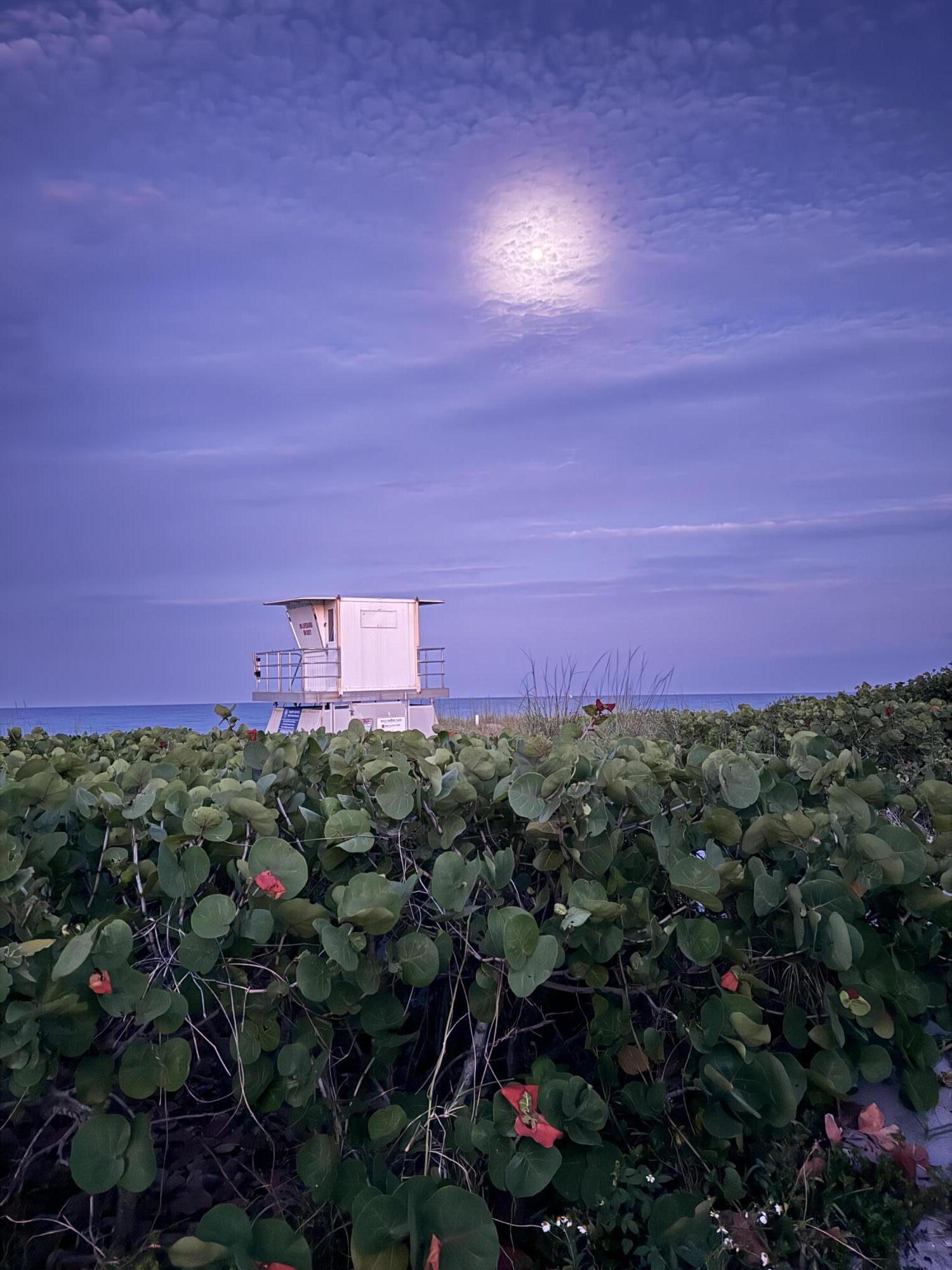 8323 Southeast Croft Circle, Unit N9 Hobe Sound, FL 33455 - Photo 61 of 66 Moon over Hobe Sound Beach