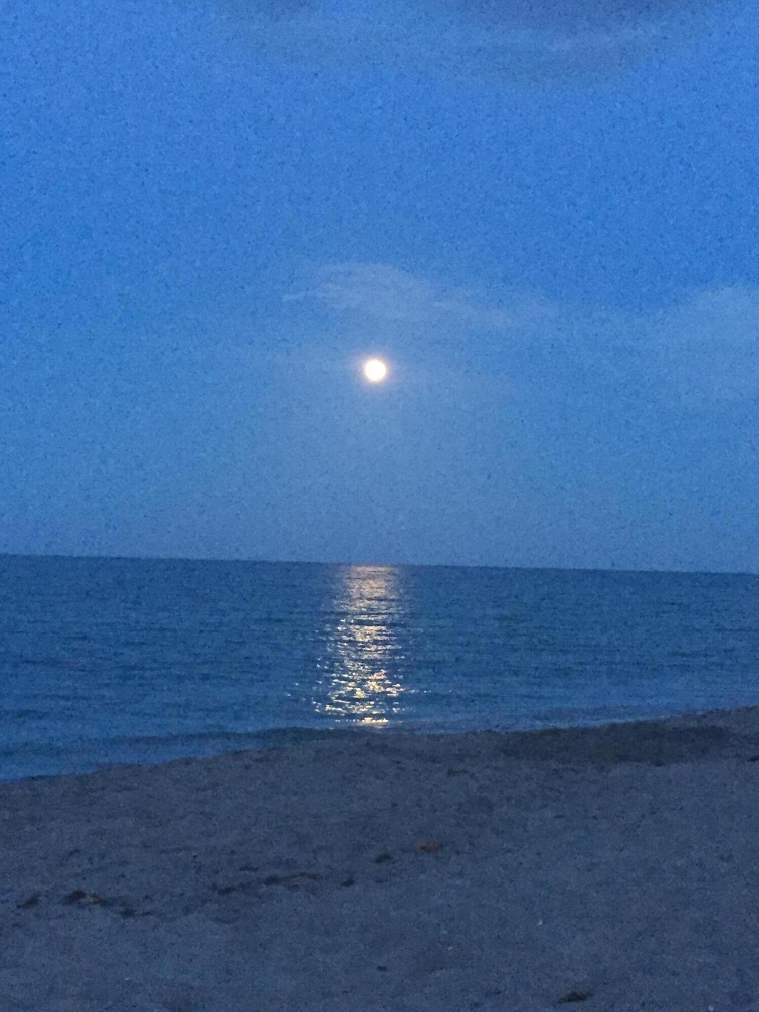 8323 Southeast Croft Circle, Unit N9 Hobe Sound, FL 33455 - Photo 62 of 66 IMG_2043