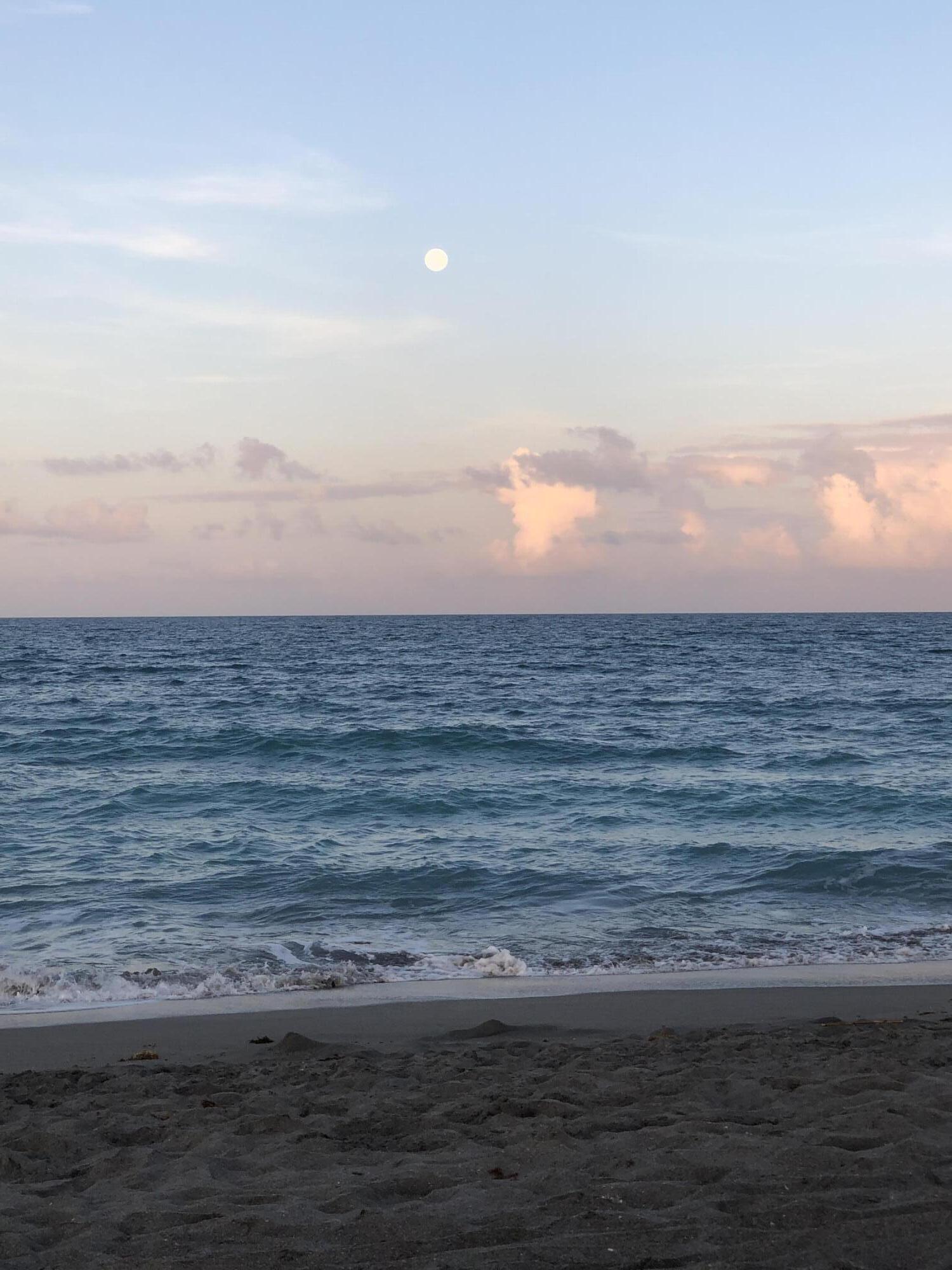 8323 Southeast Croft Circle, Unit N9 Hobe Sound, FL 33455 - Photo 64 of 66 Moonrise at Hobe Sound Beach