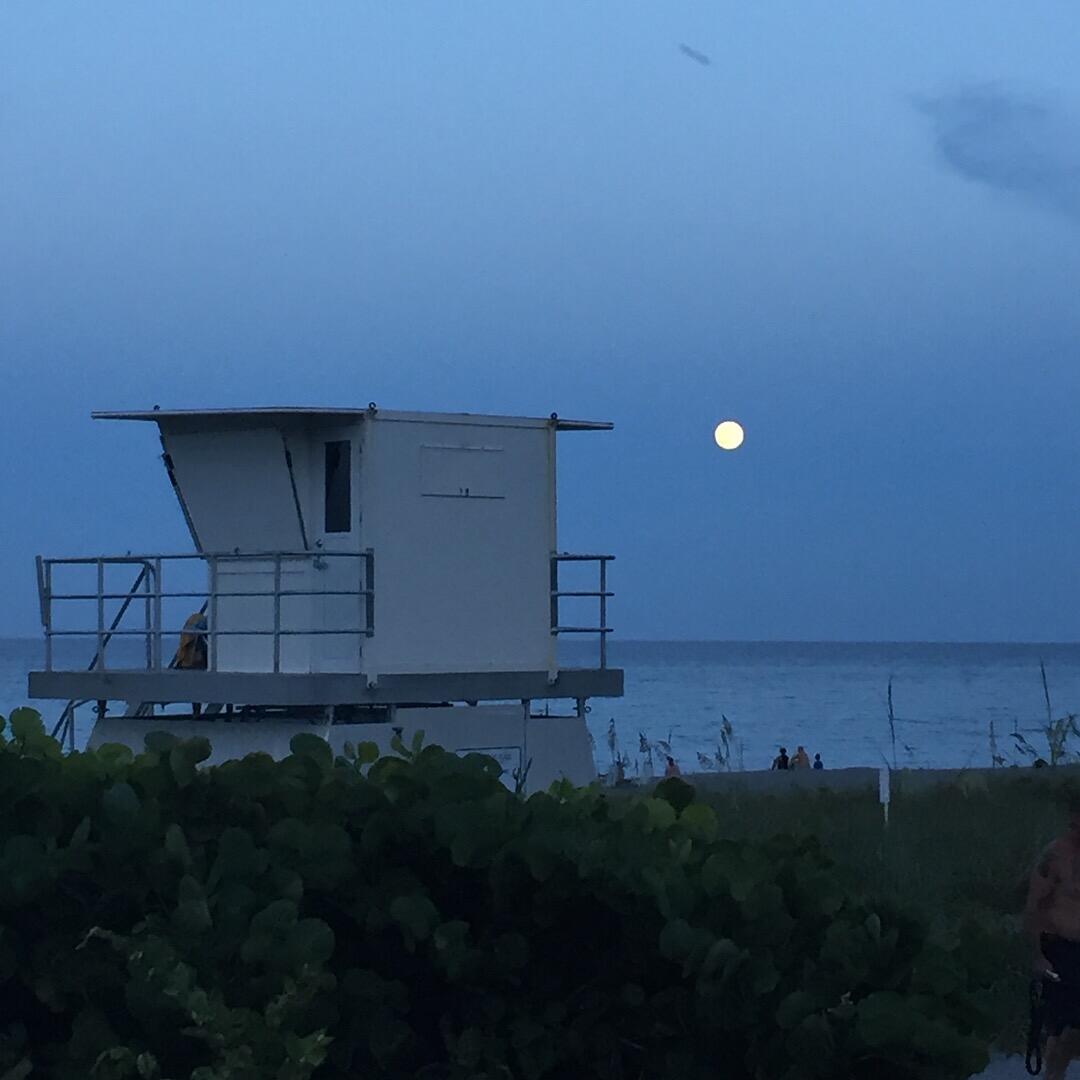 8323 Southeast Croft Circle, Unit N9 Hobe Sound, FL 33455 - Photo 65 of 66 Hobe Sound beach at moonrise