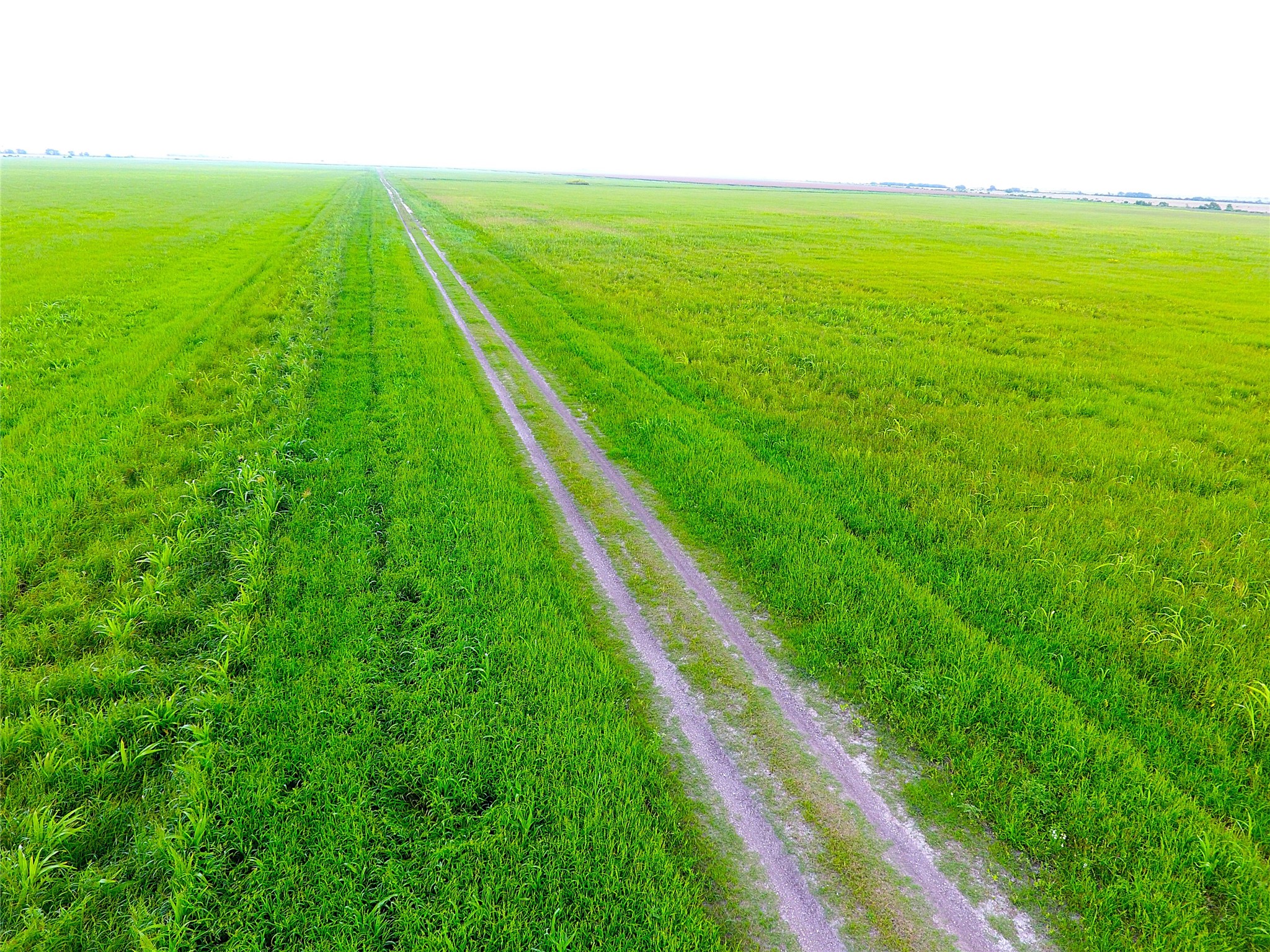 768 Million Dollar Road Palacios, TX 77465 - Photo 12 of 49