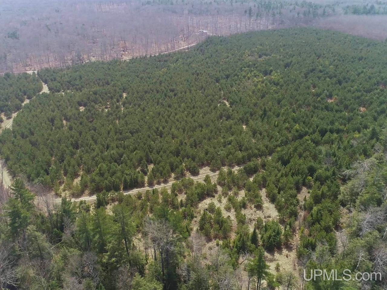 40-acres Gierke Road Manistique, MI 49854 - Photo 38 of 39