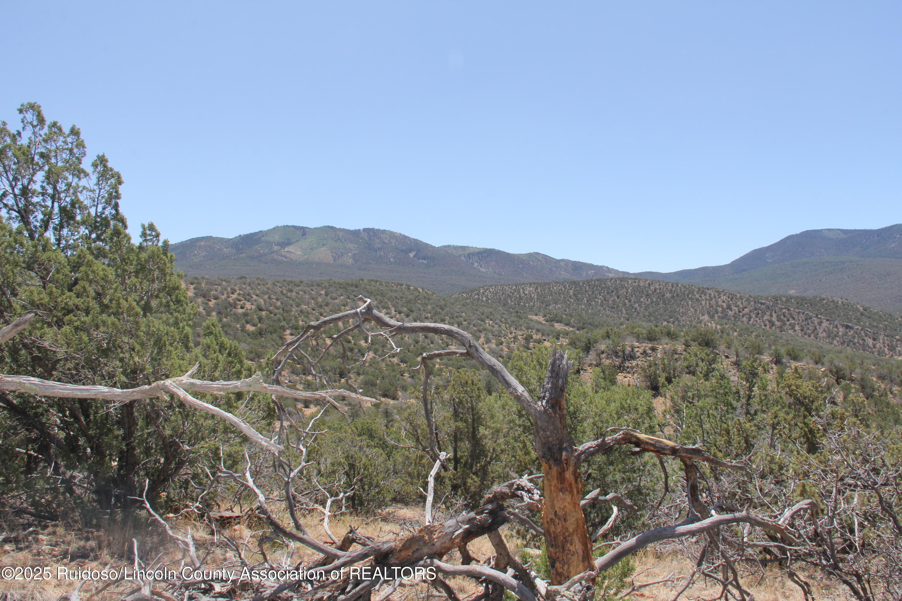 Tbd Jicarilla Road Carrizozo, NM 88301 - Photo 16 of 53 Gallery Image 16
