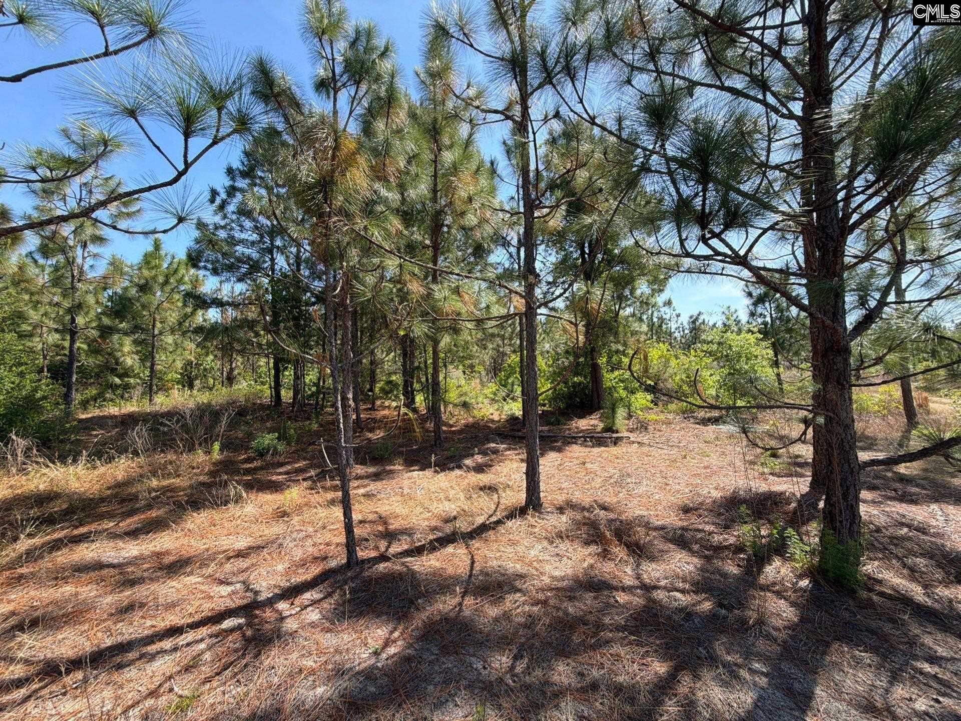 4 Holstein Road Monetta, SC 29105 - Photo 7 of 12