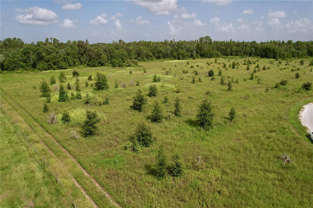 0 Hancock Road Lakeland, FL 33810 - Photo 14 of 18 a view of a green field with lots of trees in the background