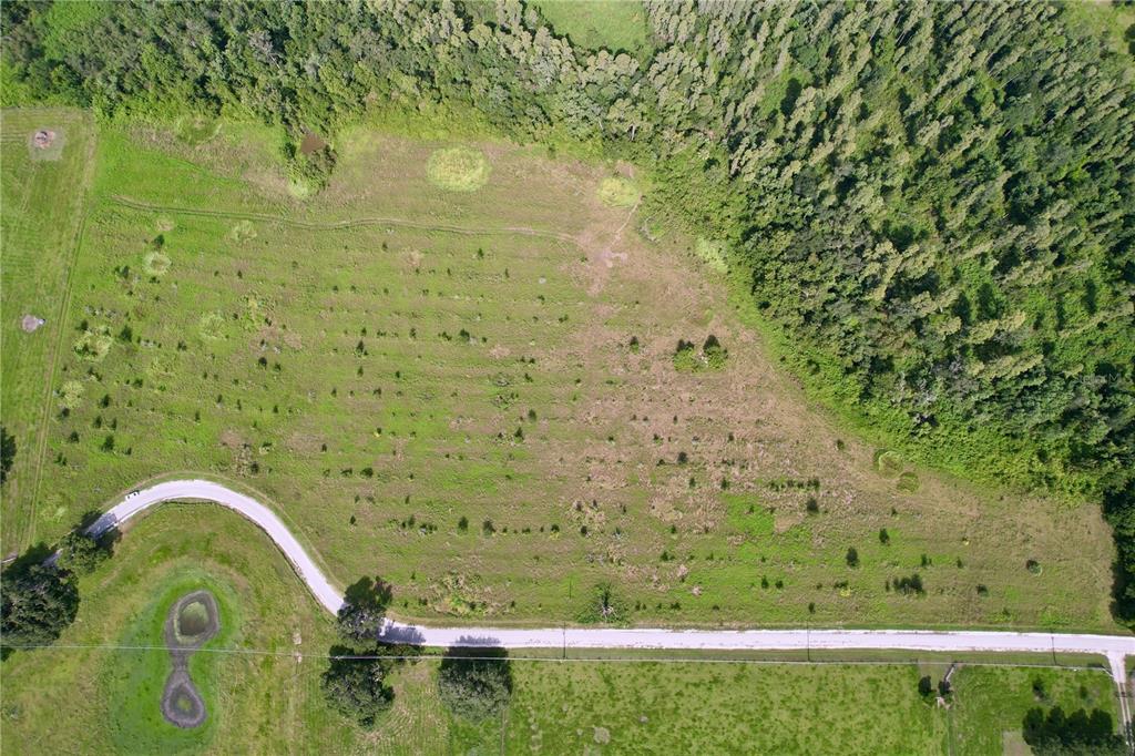 0 Hancock Road Lakeland, FL 33810 - Photo 5 of 18 a view of a garden with a bench