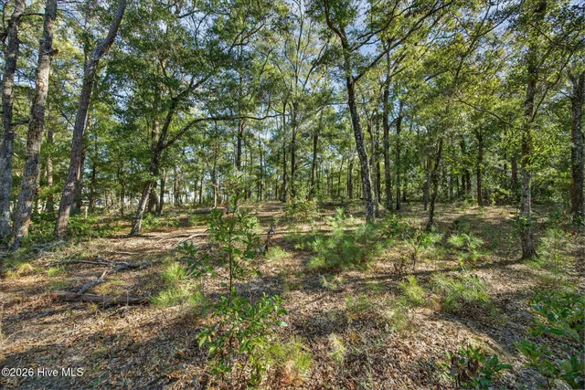 $95,000 | 3326 Four Water View Southwest, Supply, NC 28462