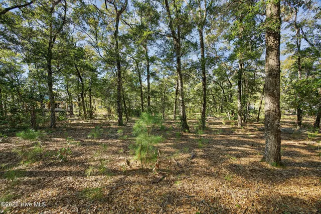 $95,000 | 3326 Four Water View Southwest, Supply, NC 28462