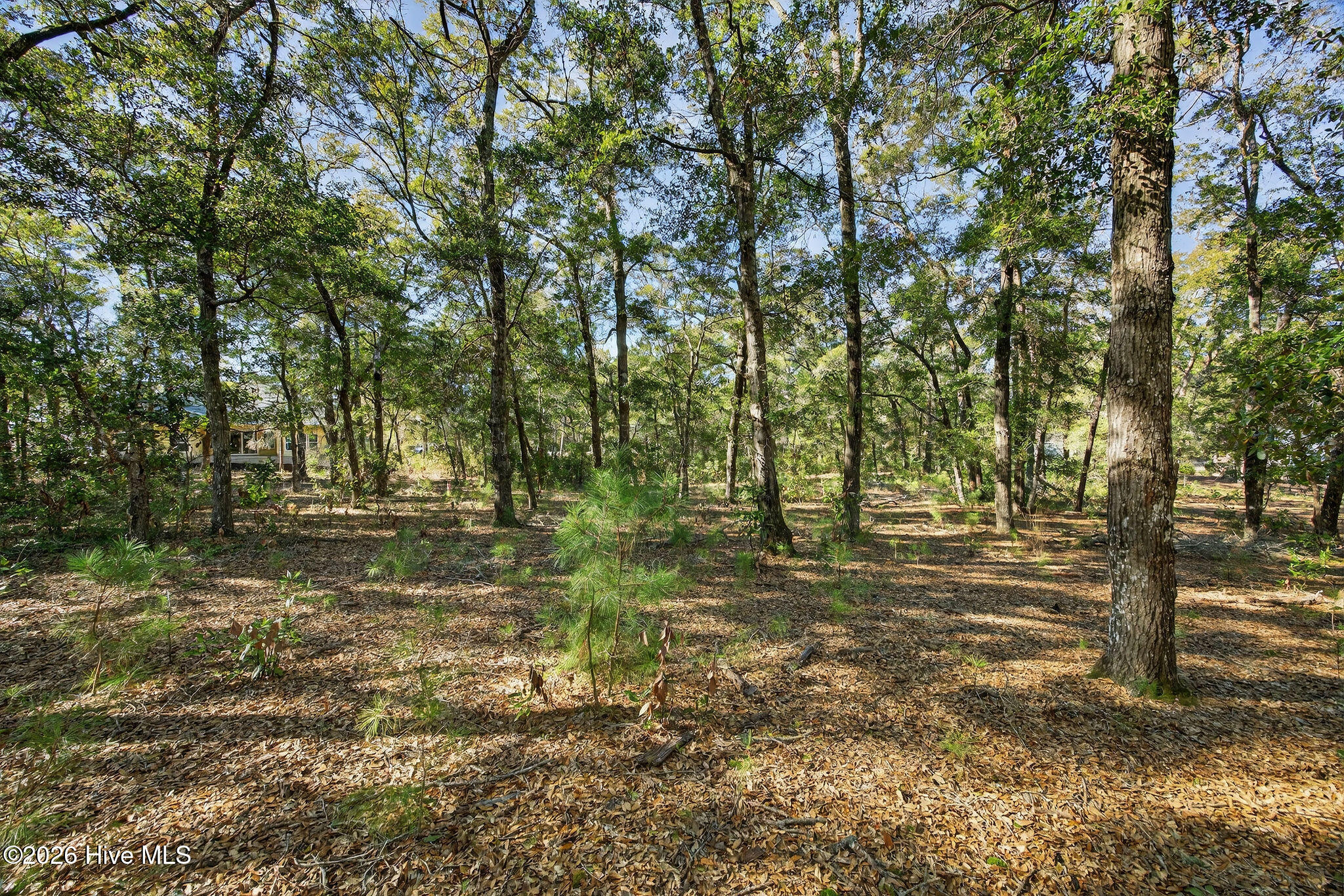 3326 Four Water View Southwest Supply, NC 28462 - Photo 13 of 14 33264WaterLaneSW-7