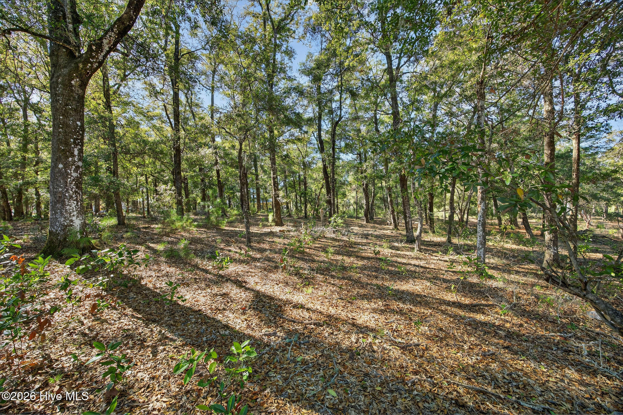 3326 Four Water View Southwest Supply, NC 28462 - Photo 14 of 14 33264WaterLaneSW-9