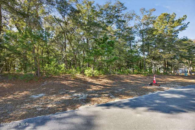 $95,000 | 3326 Four Water View Southwest, Supply, NC 28462