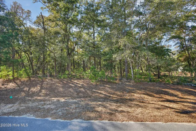$95,000 | 3326 Four Water View Southwest, Supply, NC 28462