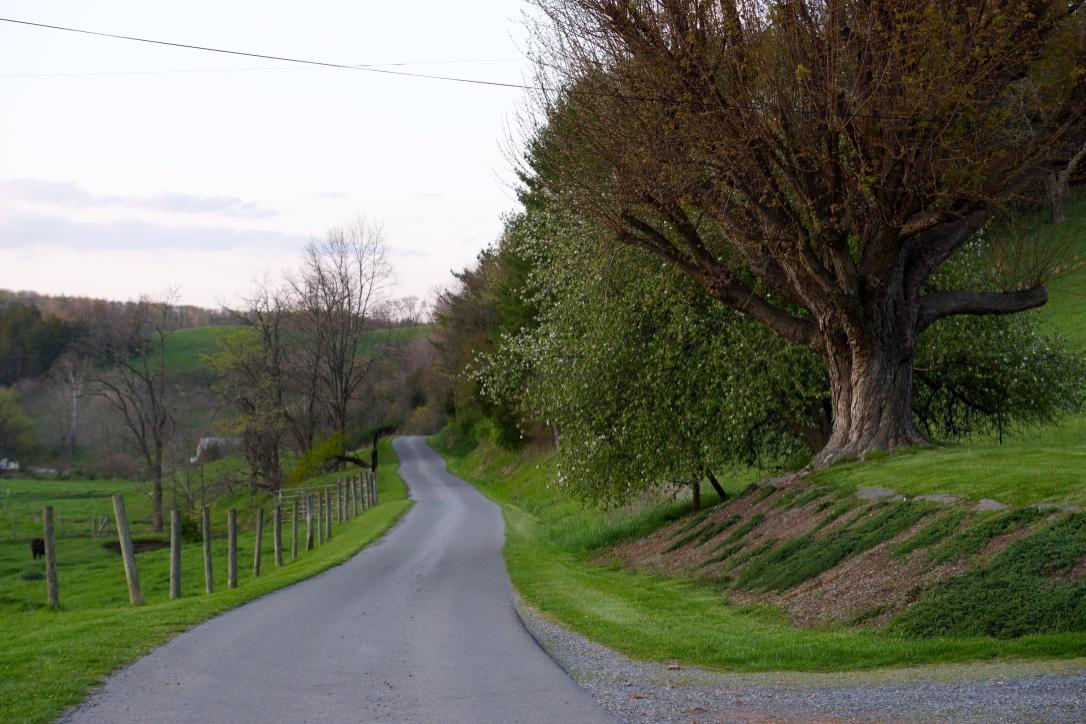 839 Dunkard Church Road Lindside, WV 24951 - Photo 4 of 27 Gallery Image 4