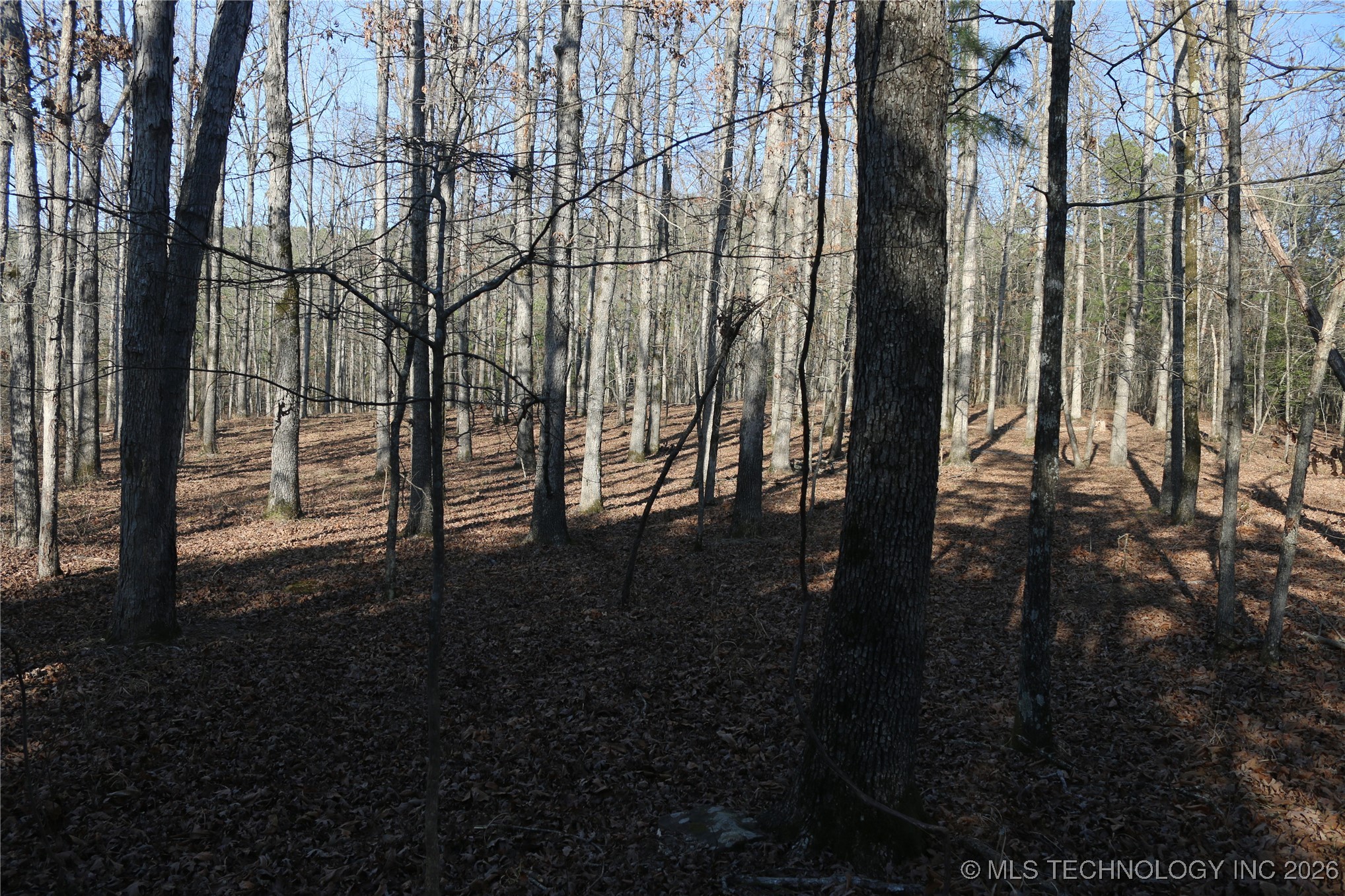 Marsh Loop Loop Smithville, OK 74957 - Photo 21 of 65 Gallery Image 21