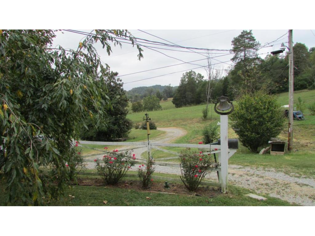 1065 Davis Valley Road Afton, TN 37616 - Photo 8 of 31 View from kitchen yard