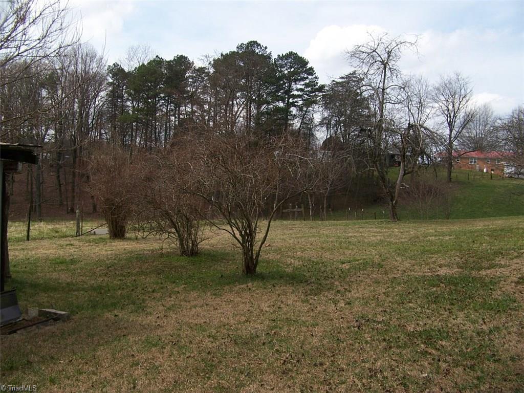 1252 McBride Road Mount Airy, NC 27030 - Photo 22 of 29 Fruit Trees