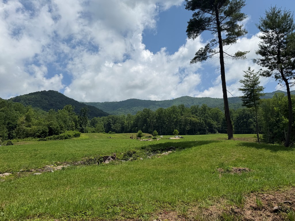 1446 Muskrat Creek Road Hayesville, NC 28904 - Photo 73 of 108