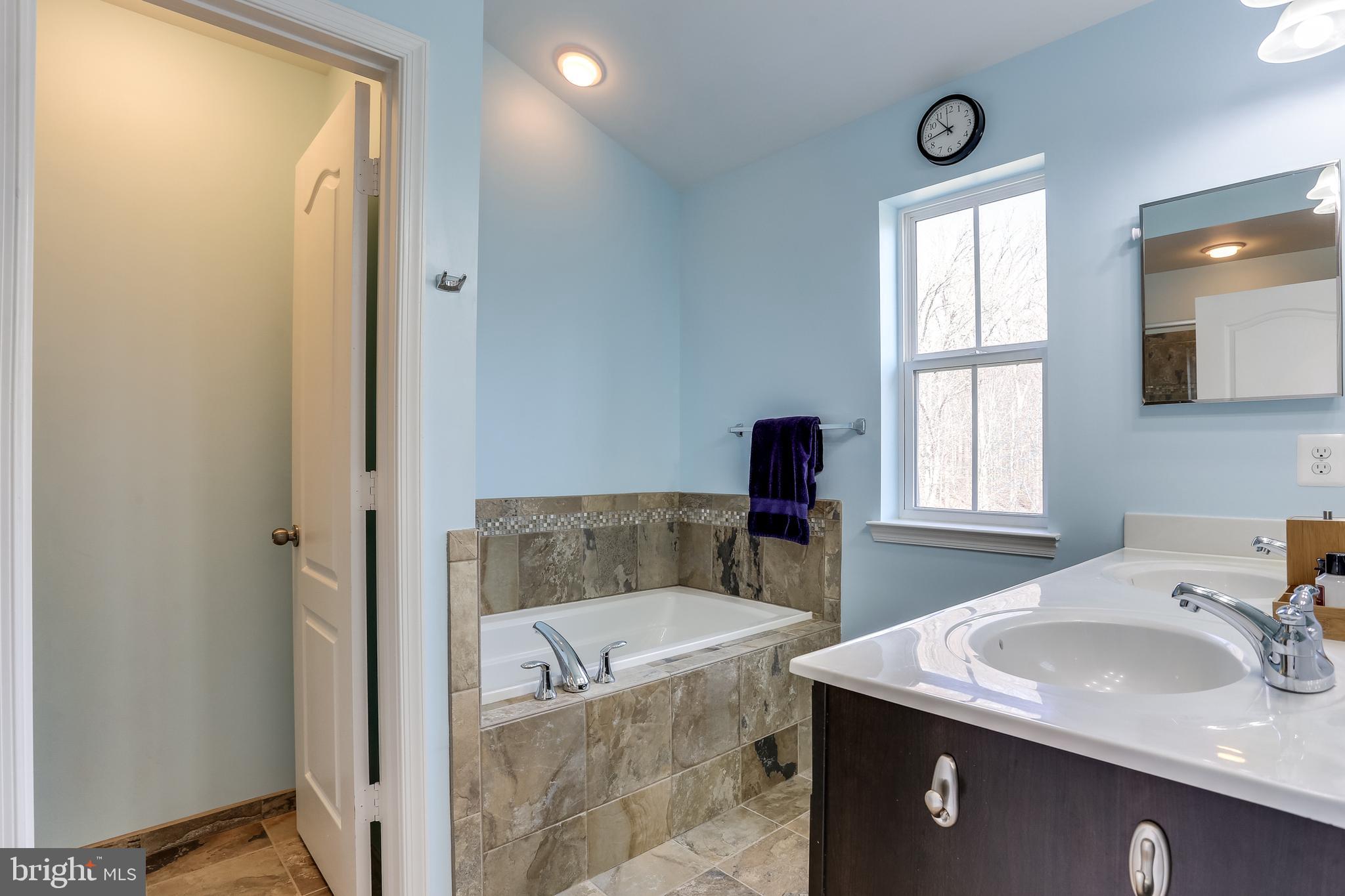 9362 Rock Ripple Lane Laurel, MD 20723 - Photo 17 of 34 Custom tiled soaking tub and double vanity