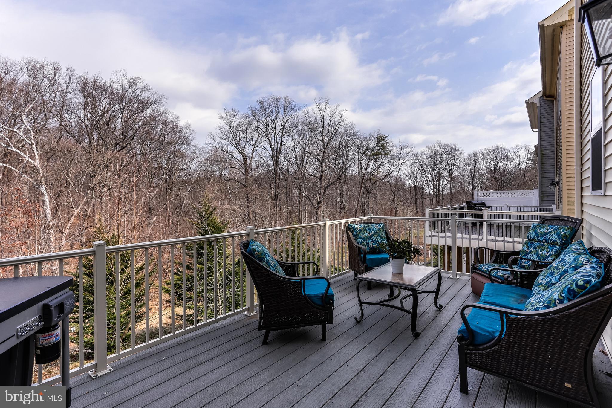 9362 Rock Ripple Lane Laurel, MD 20723 - Photo 8 of 34 Relax and enjoy a drink w/ nature in your backyard