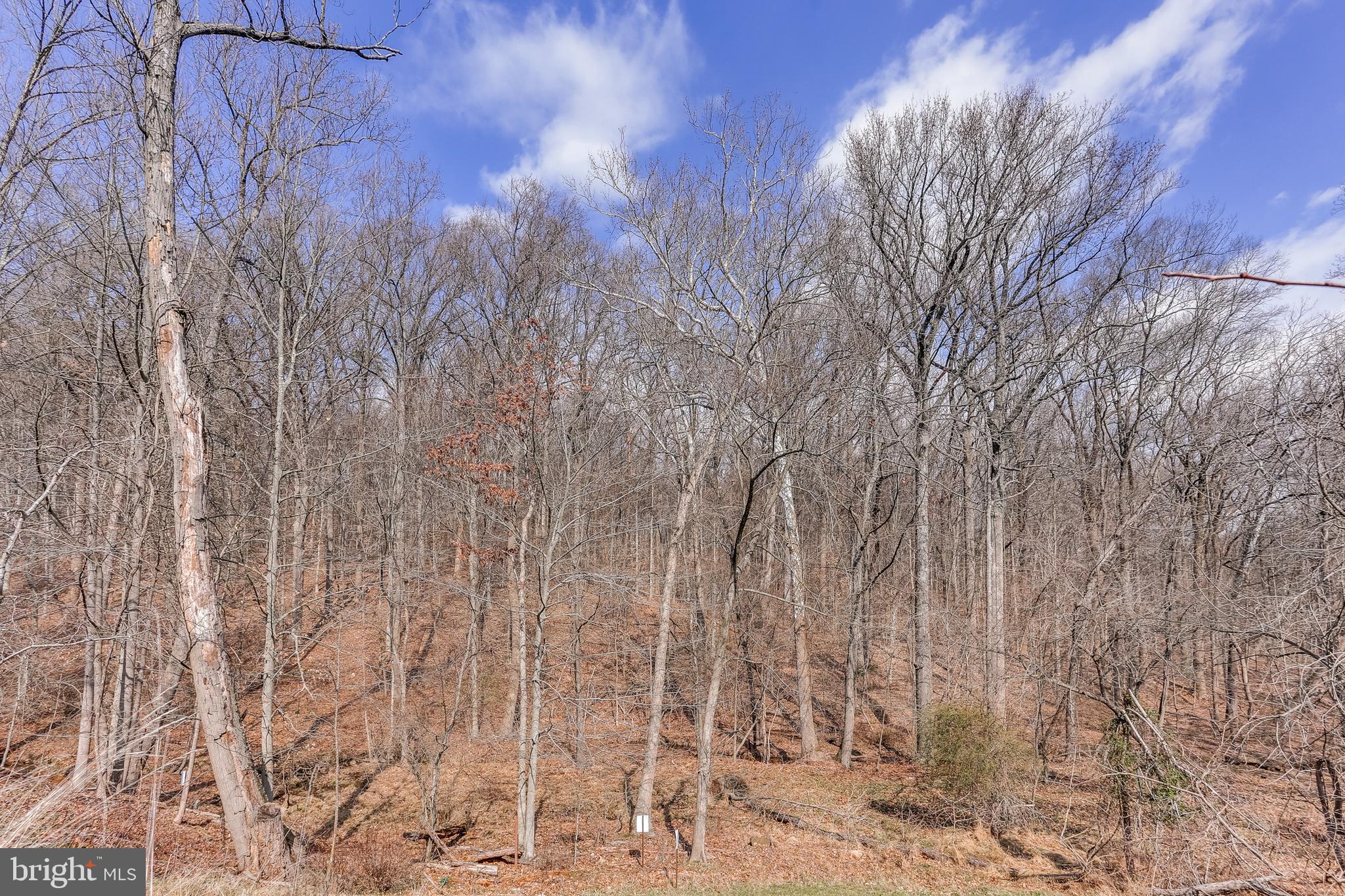 9362 Rock Ripple Lane Laurel, MD 20723 - Photo 10 of 34 This is the view from the deck! Breathetaking!