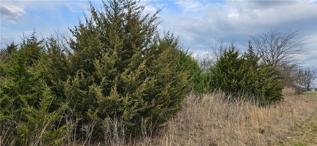 South State Route Drexel, MO 64742 - Photo 3 of 9