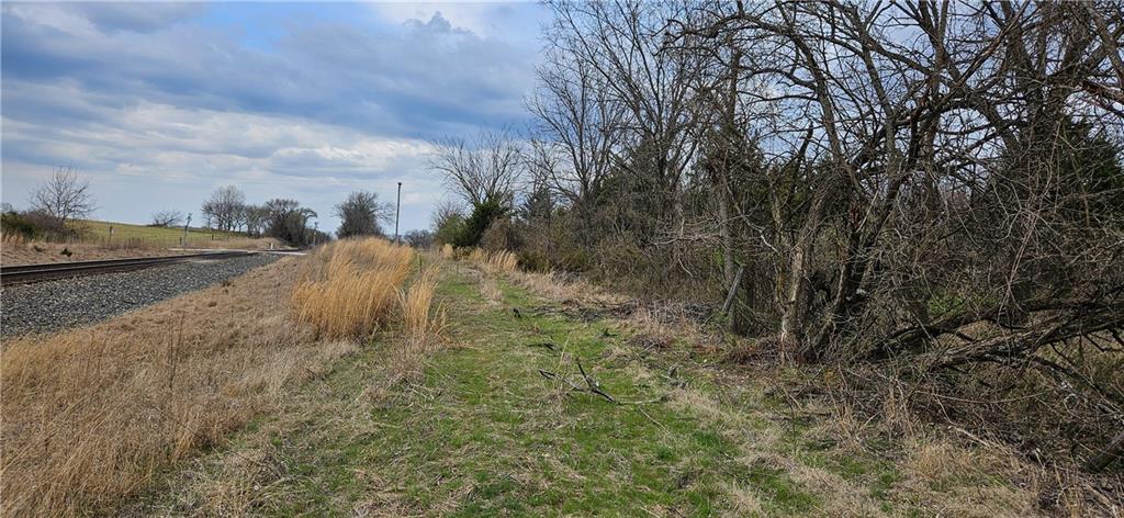 South State Route Drexel, MO 64742 - Photo 8 of 9