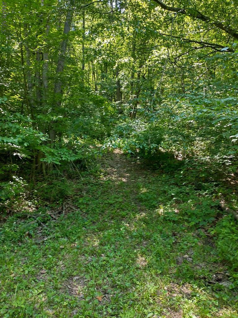 Off Smith Road Clearville, PA 15535 - Photo 31 of 47 a view of a lush green forest