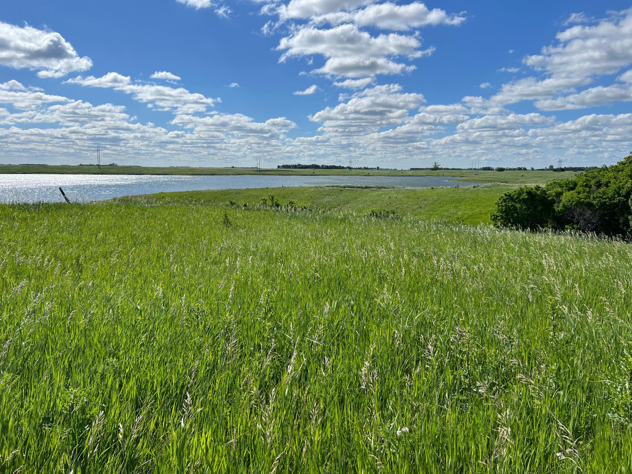 Tbd Southeast Tbd Se 90th Street Rutland, ND 58067 - Photo 93 of 105
