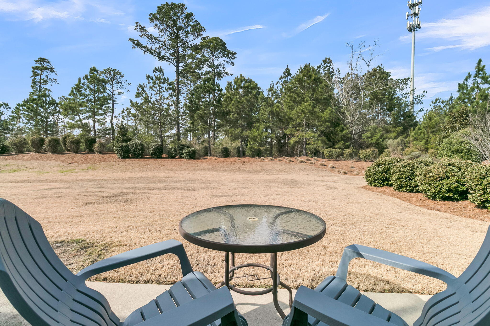 440 Switchgrass Drive Summerville, SC 29486 - Photo 25 of 49 CREM - 440 Switchgrass Dr-8