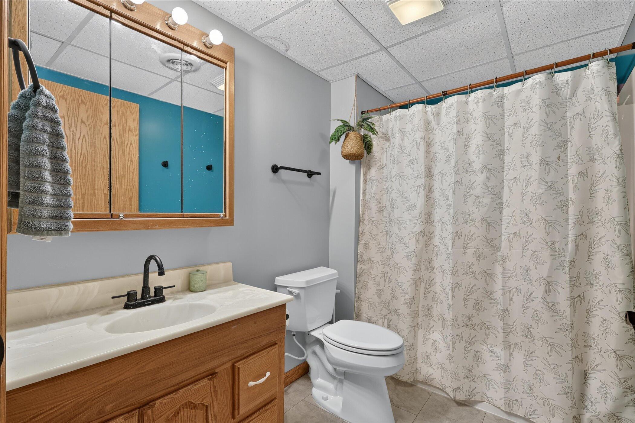 117 Charlotte Street Edmore, MI 48829 - Photo 36 of 44 3rd Bathroom