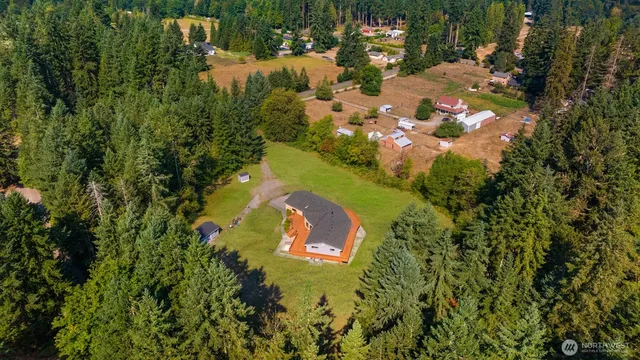 a view of a tree with a yard