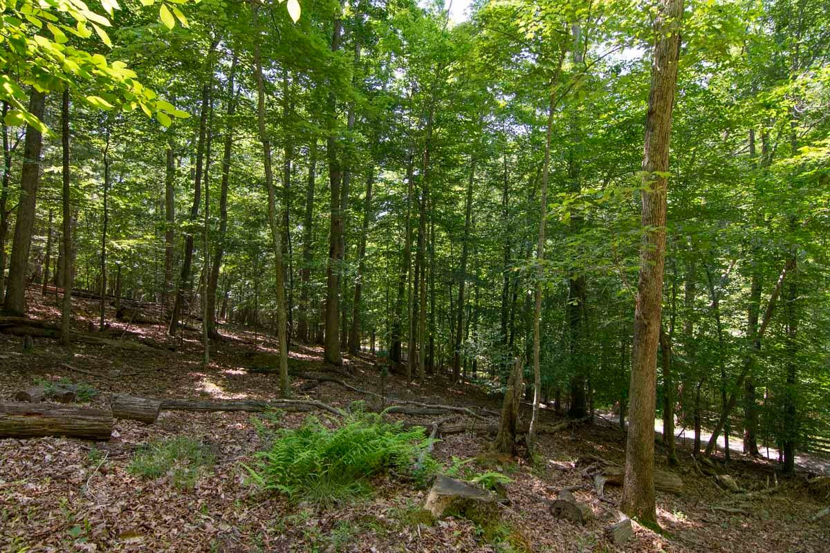 751-771 Lipps Road Lewisburg, WV 24901 - Photo 25 of 43 Gallery Image 25