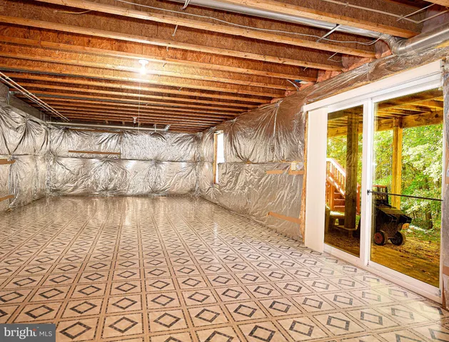 a close up of a plant