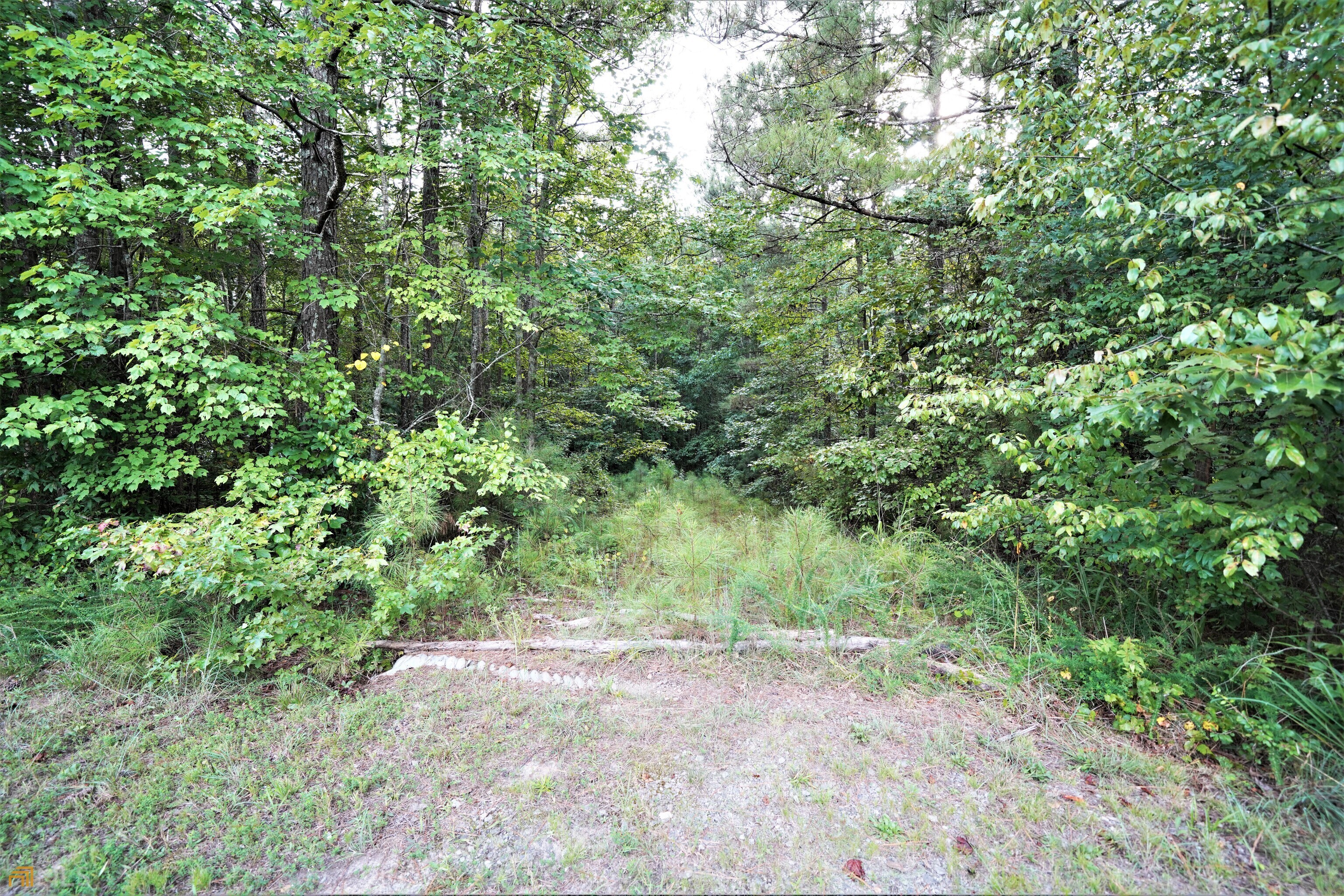 990 Harrison Road Carrollton, GA 30117 - Photo 1 of 1 Gallery Image 1