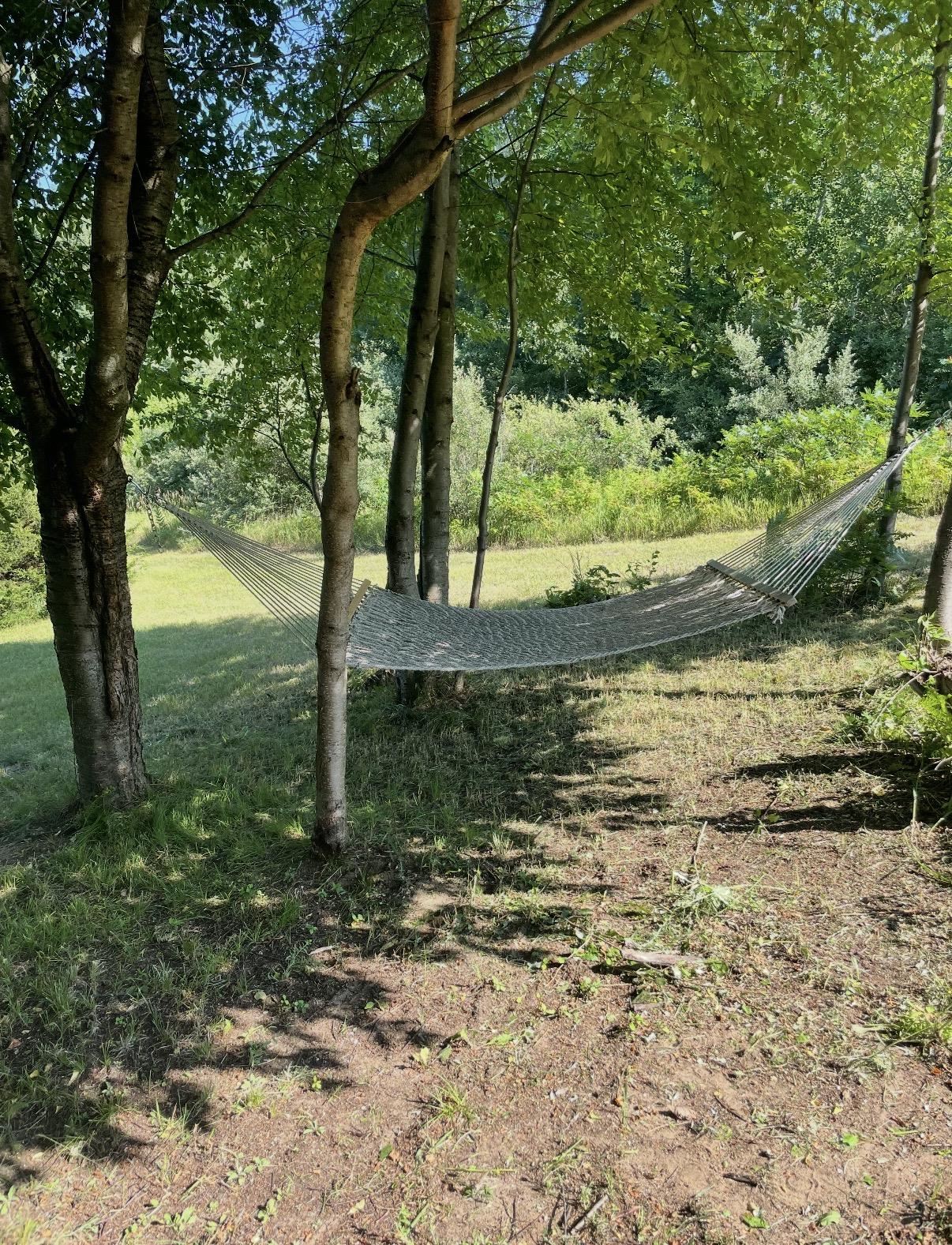 3186 Lake George Road West Branch, MI 48661 - Photo 66 of 67 Gallery Image 66