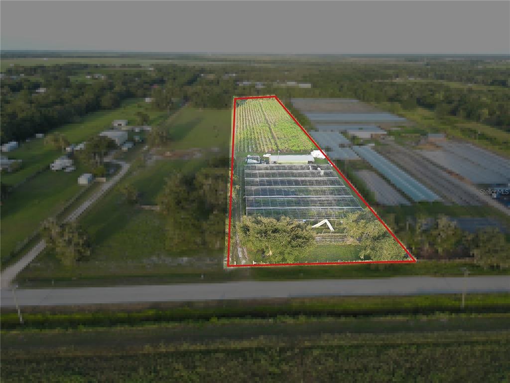 16070 Carlton Lake Road Wimauma, FL 33598 - Photo 1 of 10 a view of a yard